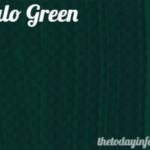 Phthalo Green: The Unsung Hero of Every Artist's Palette